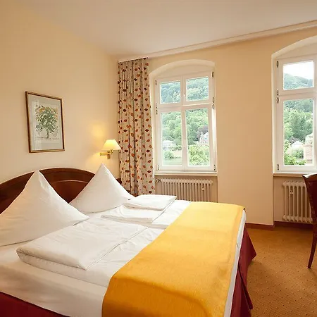 Partner Hollaender Hof Hotel Heidelberg