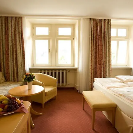 Hotel Partner Hollaender Hof Heidelberg
