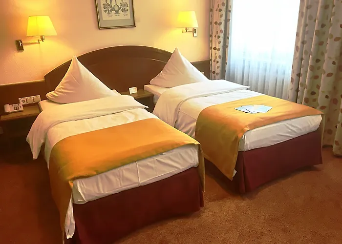 海德尔堡 城市伙伴酒店 海德堡