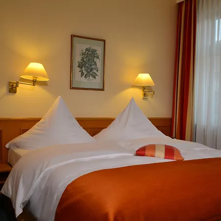 Hotel Partner Hollaender Hof Heidelberg