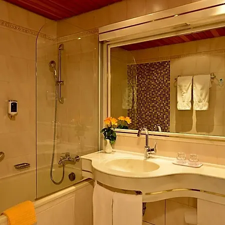 Partner Hollaender Hof Hotel Heidelberg