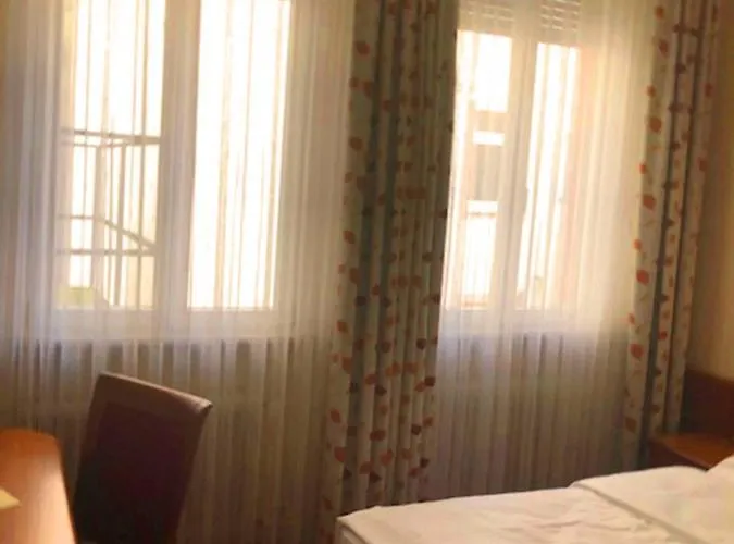 シティ パートナー ホレンダー ホフ ホテル ハイデルベルク