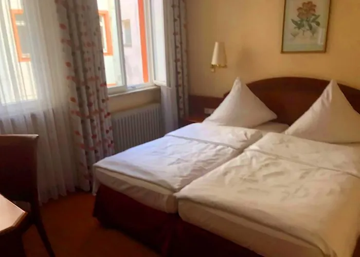 シティ パートナー ホレンダー ホフ 3* ハイデルベルク