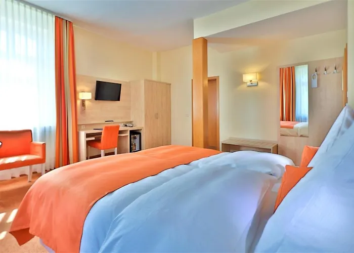 ホテル シティ パートナー ホレンダー ホフ ハイデルベルク