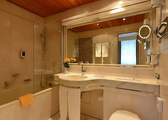 シティ パートナー ホレンダー ホフ ハイデルベルク