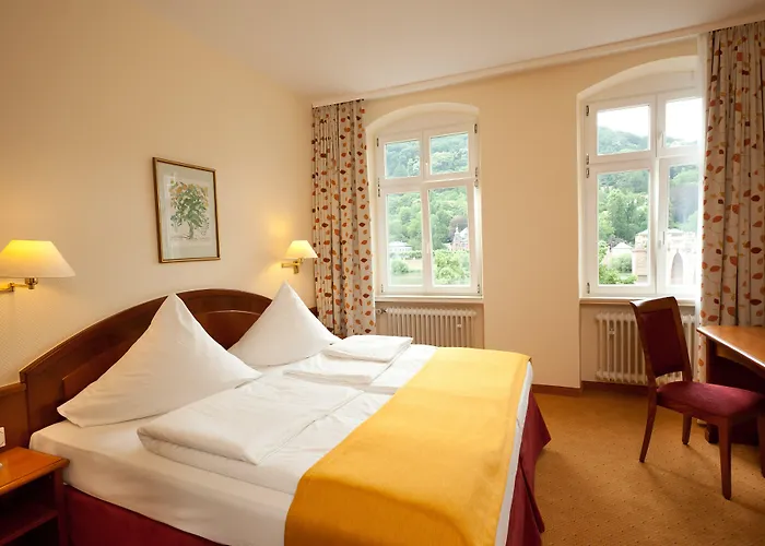 シティ パートナー ホレンダー ホフ 3* ハイデルベルク