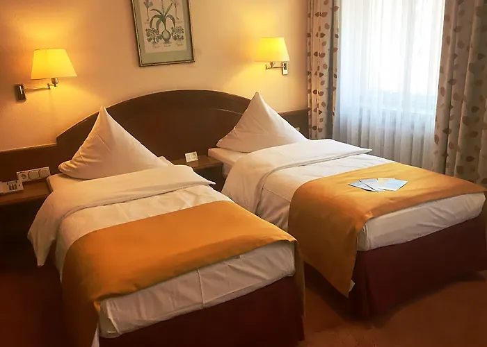 シティ パートナー ホレンダー ホフ ホテル ハイデルベルク