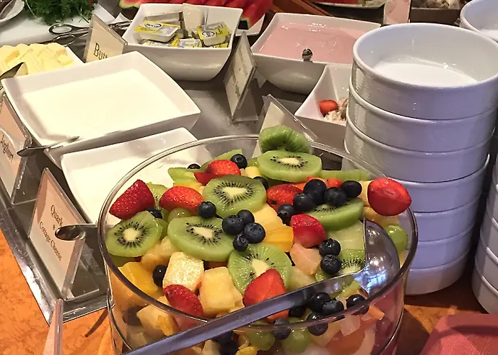 シティ パートナー ホレンダー ホフ ハイデルベルク