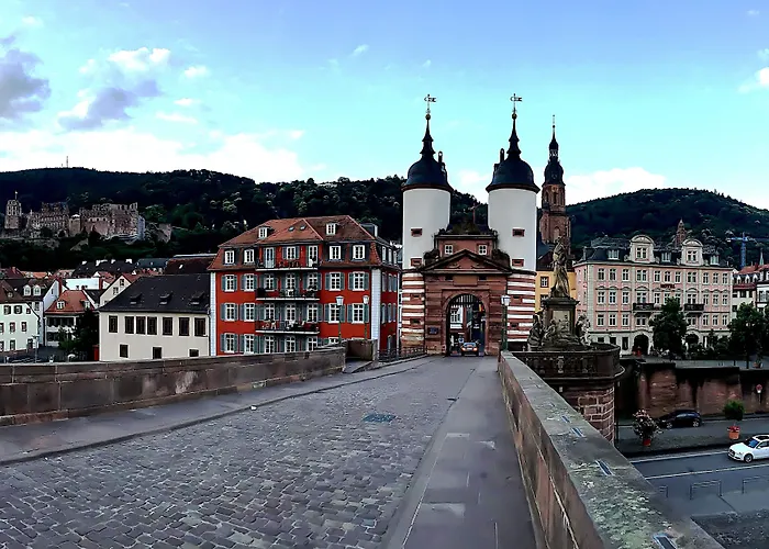 ホテル シティ パートナー ホレンダー ホフ ハイデルベルク