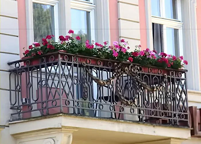 シティ パートナー ホレンダー ホフ 3* ハイデルベルク