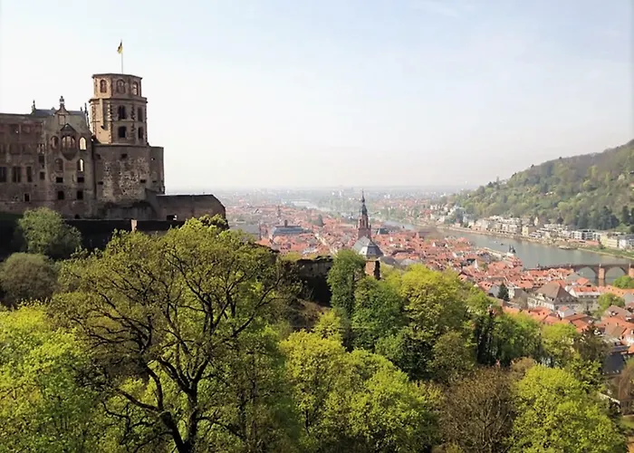 ホテル シティ パートナー ホレンダー ホフ ハイデルベルク