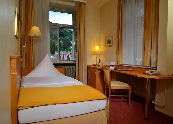 ホテル シティ パートナー ホレンダー ホフ ハイデルベルク