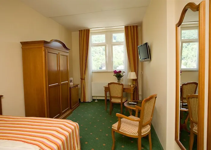 シティ パートナー ホレンダー ホフ 3* ハイデルベルク